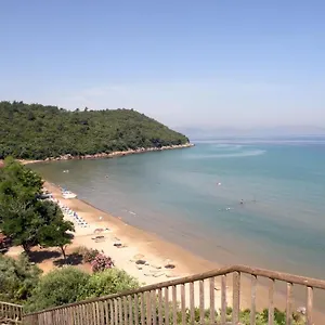 Misa Güzelçamlı